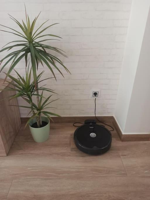 El Rincon De Eva Apartment Cangas do Morrazo Ngoại thất bức ảnh